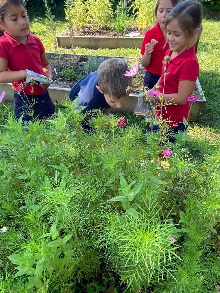 1st Graders were checking out the garden while eating their snack, working on 100s chart puzzles, and playing an ice breaker game to get to know their classmates! What a fantastic way to start the year.