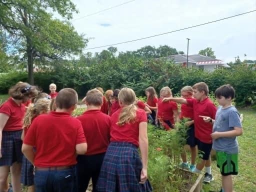 4th graders checking out the butterfly garden they planted last year.