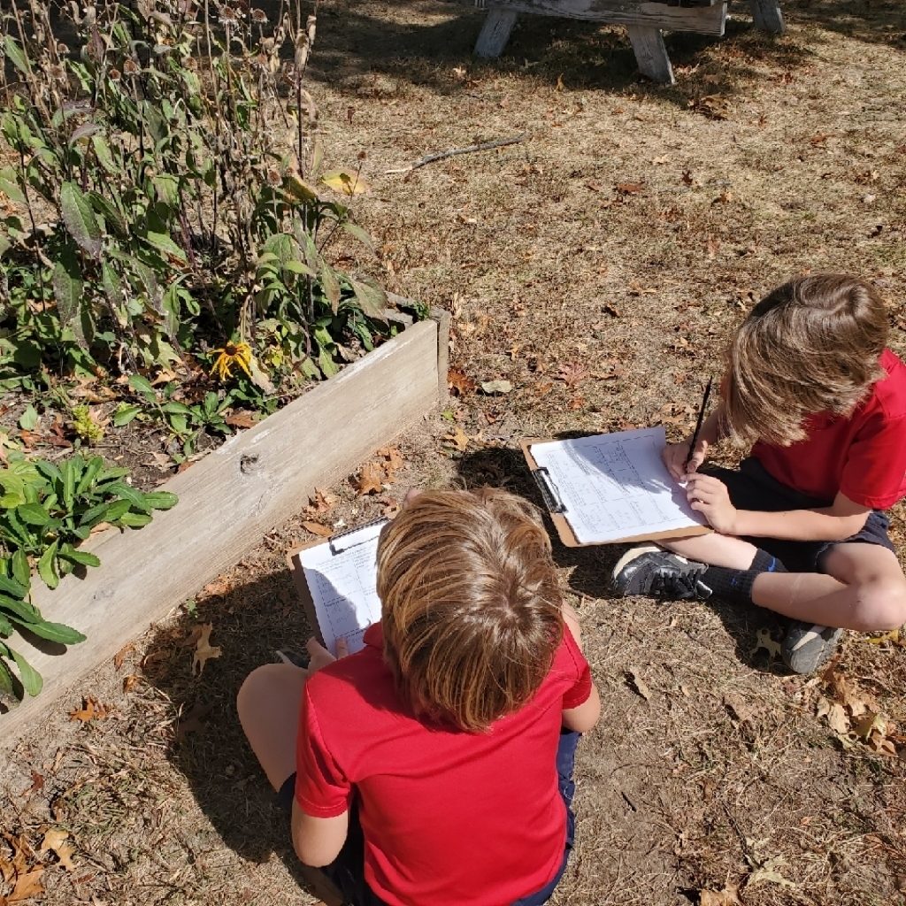 observations at SFA garden