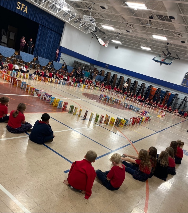 SFA held a cereal drive for the Angels Arms organization. Angels Arms is an organization who “helps foster families thrive.” At the end of the drive NJHS held an all school rally where we all watched the domino effect of the boxes we collected! 