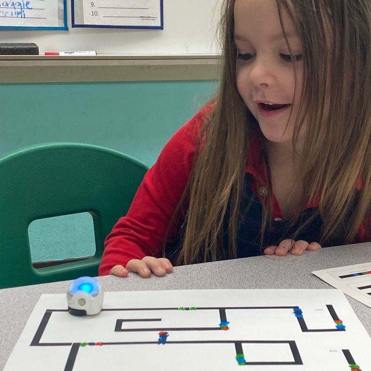 Kindergartners programmed the smallest robots at SFA, the Ozobots! 